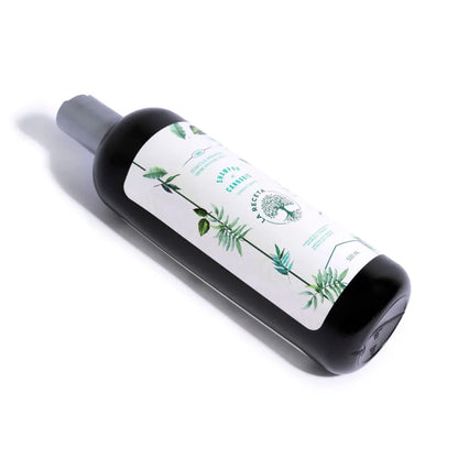Shampoo de Argán Para Cabello Seco La Receta 500 mL