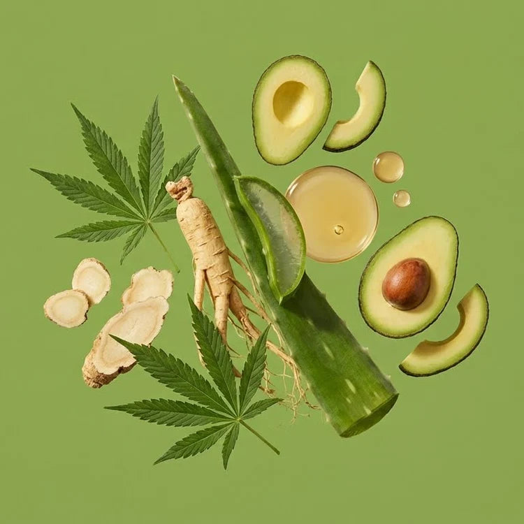 Shampoo Anticaída para Hombre con Aguacate y CBD
