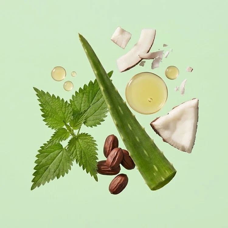 Acondicionador Reparador para Cabellos Tinturados con Aloe Vera