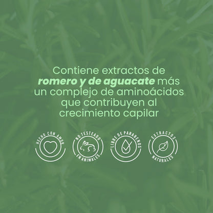 BIOTERAPIA CAPILAR CON ROMERO Y BIOELIXIR ANYELUZ