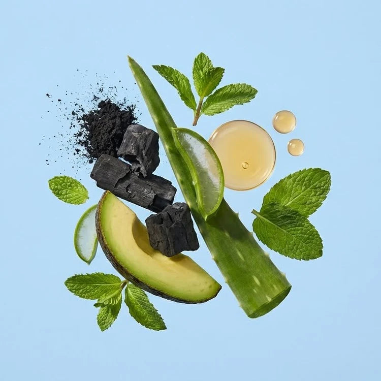 Shampoo Anticaspa y Purificante con Carbón Activado