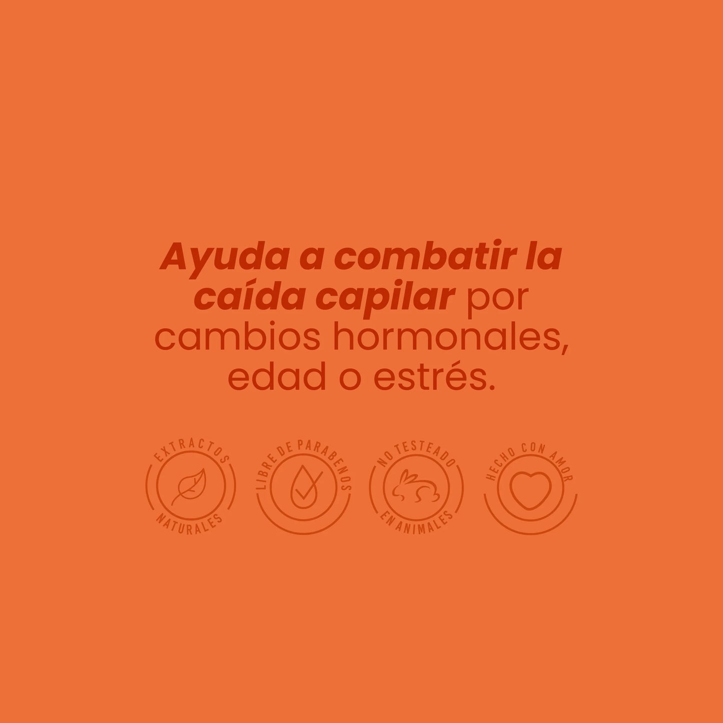 SHAMPOO CON GINSENG ANYELUZ