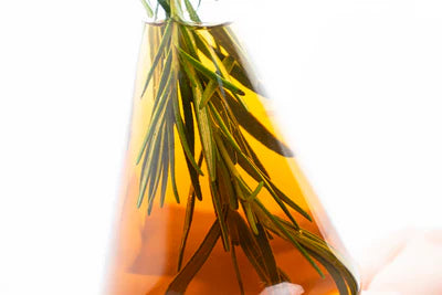 Shampoo Elixir De Romero X 550ml