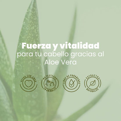 SHAMPOO CON ALOE VERA ANYELUZ