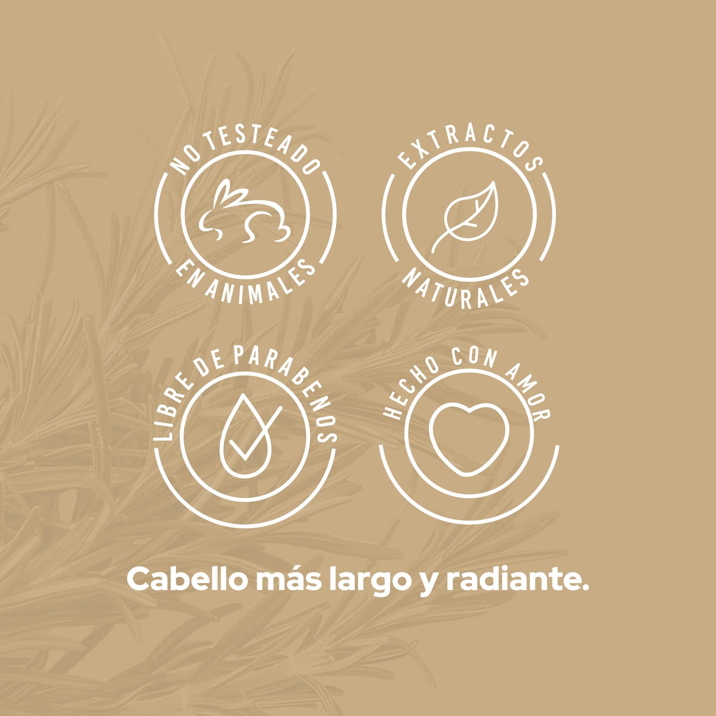 SHAMPOO CON ROMERO ANYELUZ