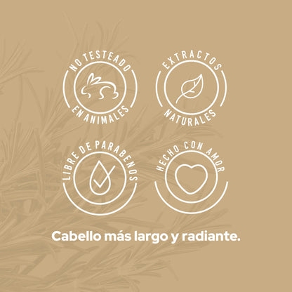 SHAMPOO CON ROMERO ANYELUZ